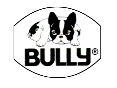 Logo Bully